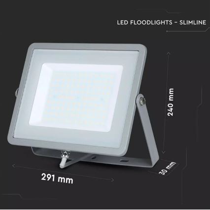 LED Reflektor SAMSUNG CHIP LED/100W/230V IP65 6400K šedá