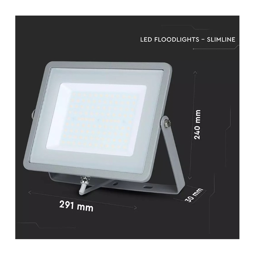 LED Reflektor SAMSUNG CHIP LED/100W/230V IP65 6400K šedá
