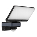 LED Reflektor se senzorem pohybu a soumraku LED/44W/230V 4200K IP54 černá