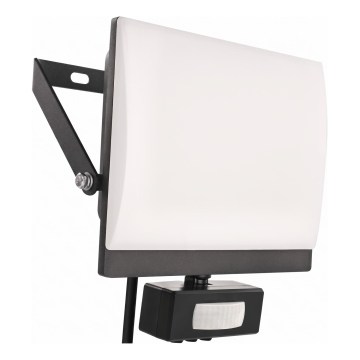LED Reflektor se senzorem pohybu a soumraku TAMBO EVO LED/30W/230V 4000K IP44 černá