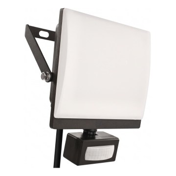 LED Reflektor se senzorem pohybu a soumraku TAMBO EVO LED/50W/230V 4000K IP44 černá
