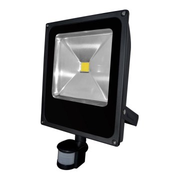 LED Reflektor se senzorem pohybu DAISY LED/50W/230V IP44 LED Reflektor se senzorem pohybu DAISY LED/50W/230V IP44