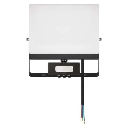 LED Reflektor se senzorem pohybu a soumraku TAMBO EVO LED/50W/230V 4000K IP44 černá