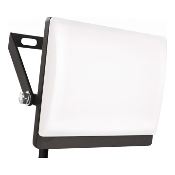 LED Reflektor TAMBO EVO LED/20W/230V 4000K IP65 černá