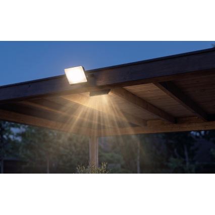 LED Reflektor TAMBO EVO LED/30W/230V 4000K IP65 černá