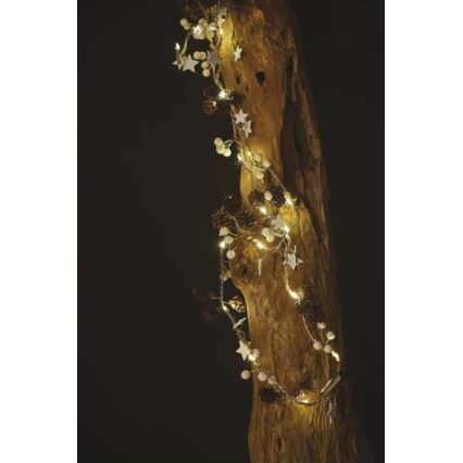 LED  řetěz 20xLED/2xAA 2m