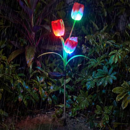 LED RGB Solární dekorační svítidlo 3xLED/3,7V 200 mAh IP44 tulipán