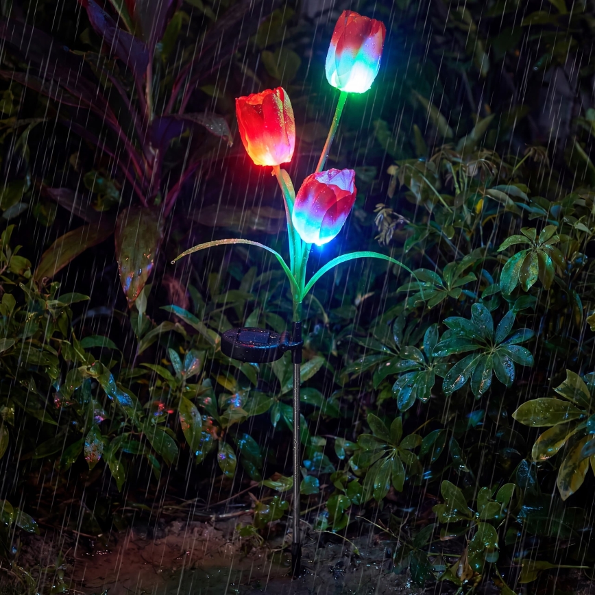 LED RGB Solární dekorační svítidlo 3xLED/3,7V 200 mAh IP44 tulipán