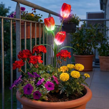 LED RGB Solární dekorační svítidlo 3xLED/3,7V 200 mAh IP44 tulipán
