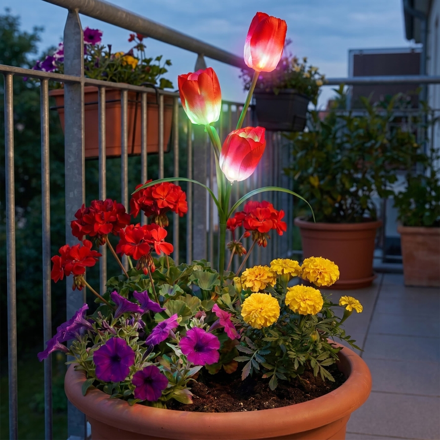 LED RGB Solární dekorační svítidlo 3xLED/3,7V 200 mAh IP44 tulipán