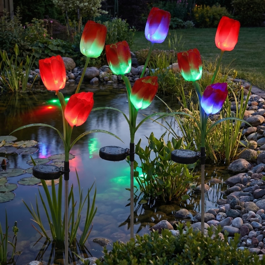 LED RGB Solární dekorační svítidlo 3xLED/3,7V 200 mAh IP44 tulipán