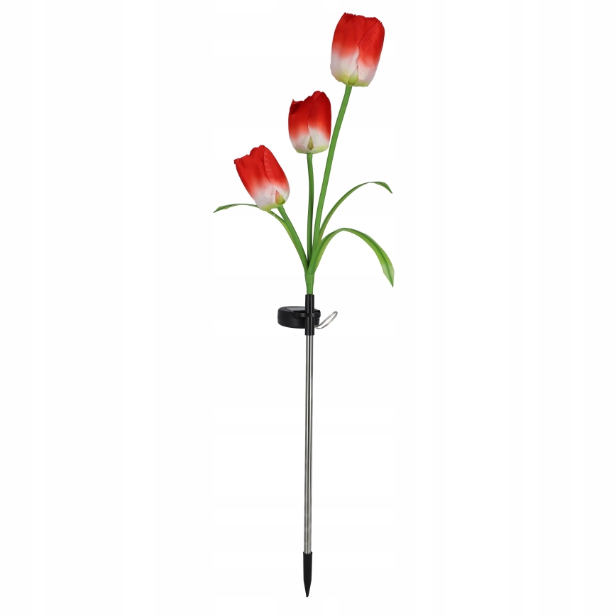 LED RGB Solární dekorační svítidlo 3xLED/3,7V 200 mAh IP44 tulipán