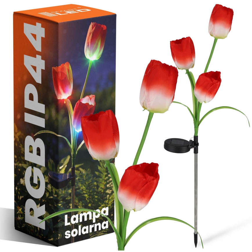 LED RGB Solární dekorační svítidlo 3xLED/3,7V 200 mAh IP44 tulipán