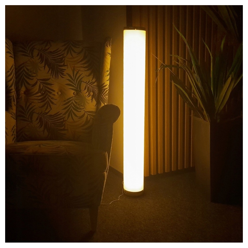 LED RGBW Stmívatelná stojací lampa STELLA LED/12W/230V + dálkové ovládání