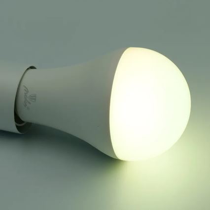 LED RGBW Stmívatelná žárovka A60 E27/15W/230V 2700-6500K Wi-Fi Tuya