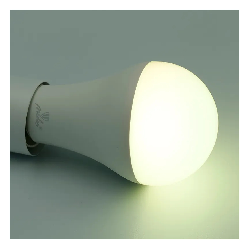 LED RGBW Stmívatelná žárovka A60 E27/15W/230V 2700-6500K Wi-Fi Tuya
