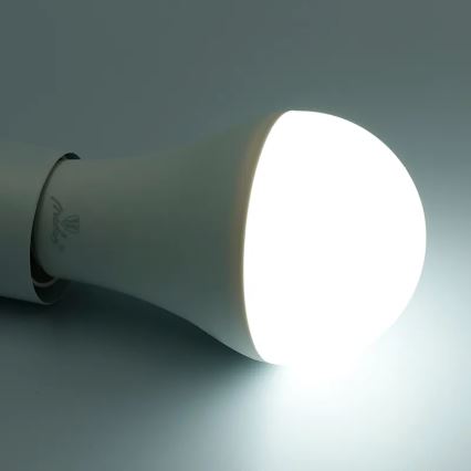 LED RGBW Stmívatelná žárovka A60 E27/15W/230V 2700-6500K Wi-Fi Tuya