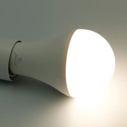 LED RGBW Stmívatelná žárovka A60 E27/15W/230V 2700-6500K Wi-Fi Tuya