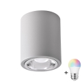 LED RGBW Stmívatelné bodové svítidlo JUPITER 1xE27/6,5W/230V 2700-6500K Wi-Fi pr. 9,8 cm šedá