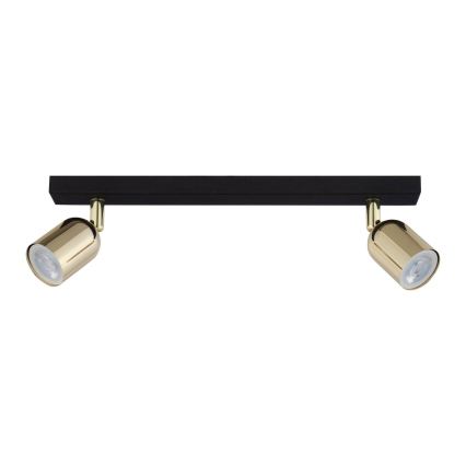 LED RGBW Stmívatelné bodové svítidlo TOP 2xGU10/6,5W/230V 2700-6500K černá/zlatá