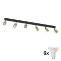 LED RGBW Stmívatelné bodové svítidlo TOP 6xGU10/6,5W/230V 2700-6500K zlatá/černá
