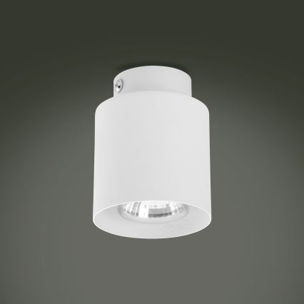 LED RGBW Stmívatelné bodové svítidlo VICO WHITE 1xGU10/6,5W/230V 2700-6500K