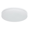LED RGBW Stmívatelné koupelnové stropní svítidlo LED/20W/230V Wi-Fi IP44 bílá