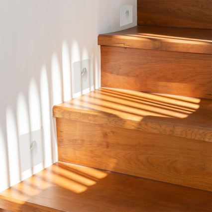 LED Schodišťové svítidlo LED/3W/230V 4000K bílá