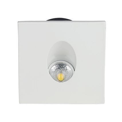 LED Schodišťové svítidlo LED/3W/230V 4000K bílá