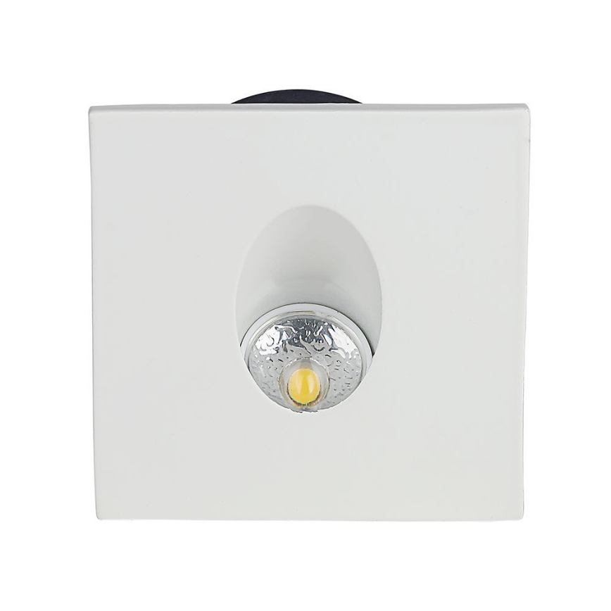 LED Schodišťové svítidlo LED/3W/230V 4000K bílá