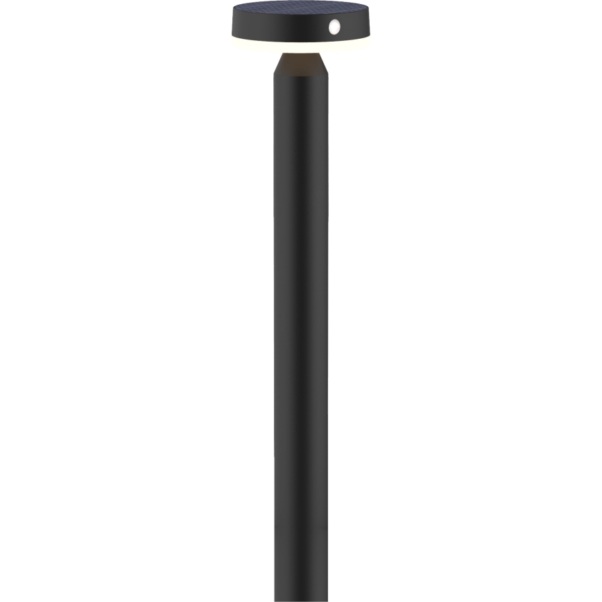 LED Solární lampa se senzorem GWINEA LED/4,5W/3,7V 2000 mAh 50 cm IP44 černá