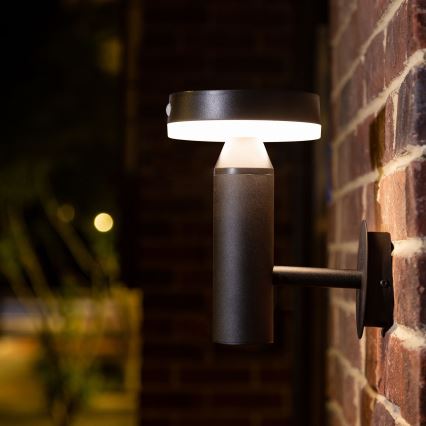 LED Solární nástěnné svítidlo se senzorem GWINEA LED/4,5W/3,7V 2000 mAh IP44 černá