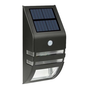 LED Solární nástěnné svítidlo se senzorem LED/3,7V 500 mAh IP44 černá
