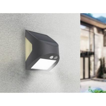 LED Solární nástěnné svítidlo se senzorem LED/3W/3,7V 3000/4000K 1200 mAh IP54 antracit