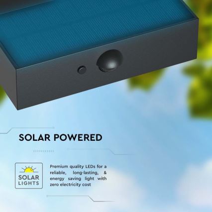 LED Solární nástěnné svítidlo se senzorem LED/3W/3,7V 3000K/4000K IP65 1200 mAh černá