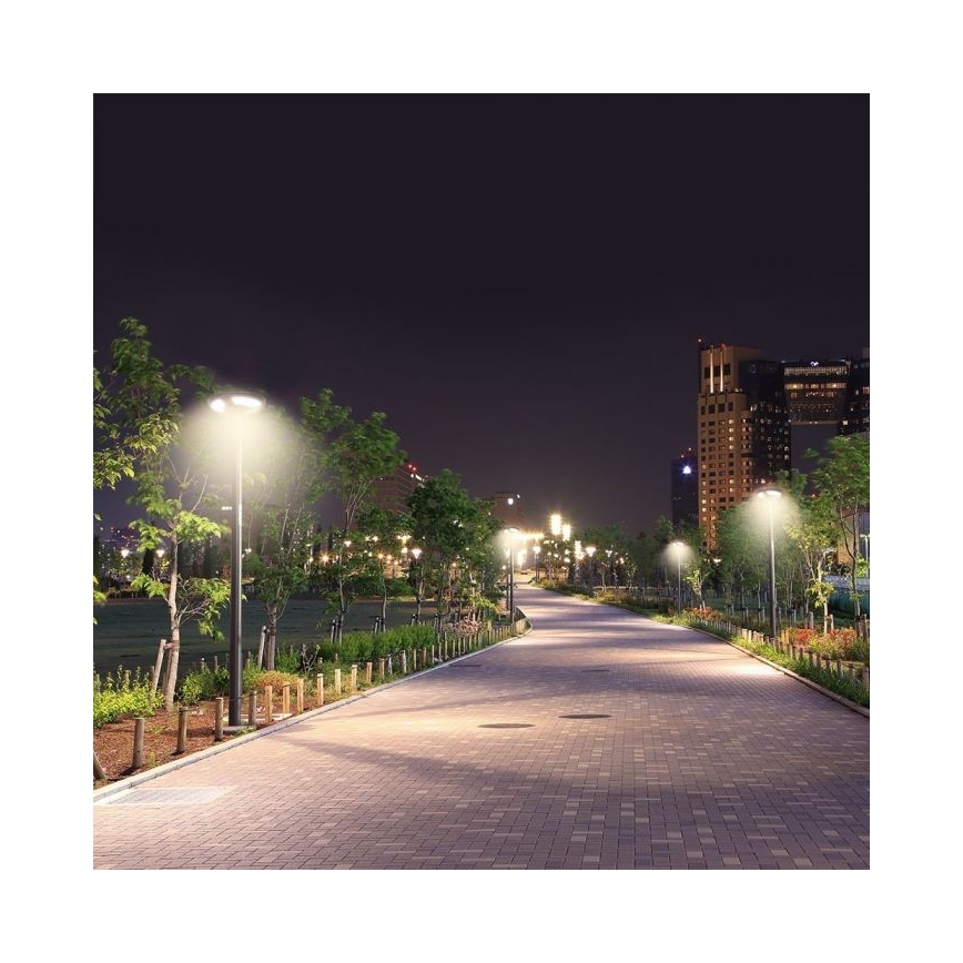LED Solární pouliční lampa se senzorem LED/10W/3,2V IP65 4000K 15000 mAh + dálkové ovládání