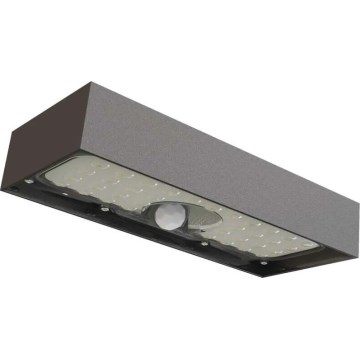 LED Solární reflektor se senzorem pohybu LED/3,7V 3000mAh 4000K IP65 černá