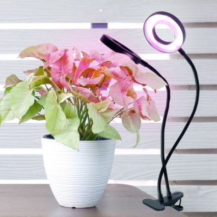 LED Stmívatelná flexibilní stolní lampa s klipem pro pěstování rostlin VITARO 2xLED/4W/230V černá