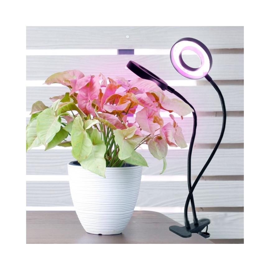 LED Stmívatelná flexibilní stolní lampa s klipem pro pěstování rostlin VITARO 2xLED/4W/230V černá