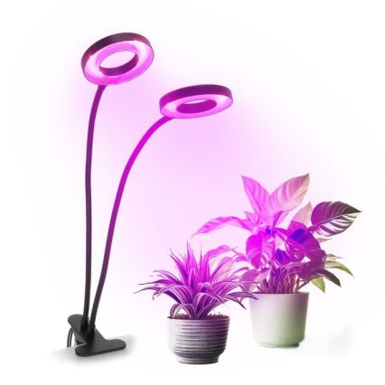 LED Stmívatelná flexibilní stolní lampa s klipem pro pěstování rostlin VITARO 2xLED/4W/230V černá