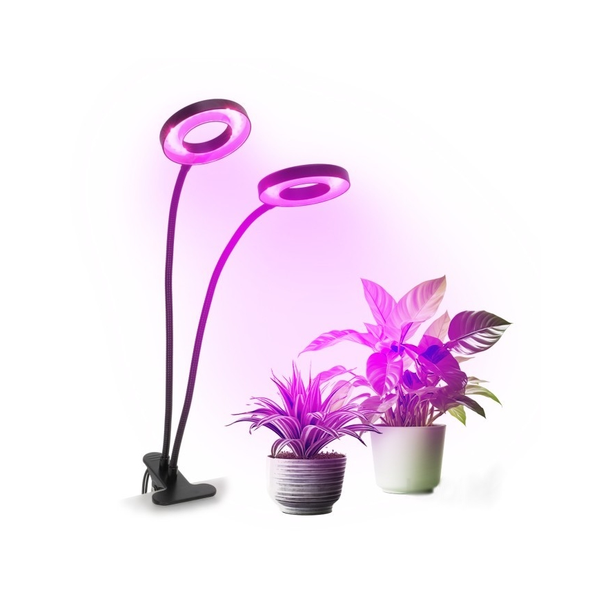 LED Stmívatelná flexibilní stolní lampa s klipem pro pěstování rostlin VITARO 2xLED/4W/230V černá