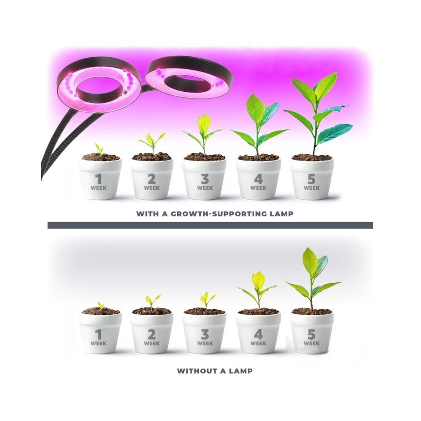 LED Stmívatelná flexibilní stolní lampa s klipem pro pěstování rostlin VITARO 2xLED/4W/230V černá