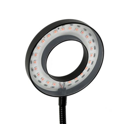 LED Stmívatelná flexibilní stolní lampa s klipem pro pěstování rostlin VITARO 2xLED/4W/230V černá