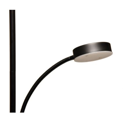 LED Stmívatelná stojací lampa NORA LED/25W/230V 2200/3000/4000K + LED/5W 3000K černá + dálkové ovládání