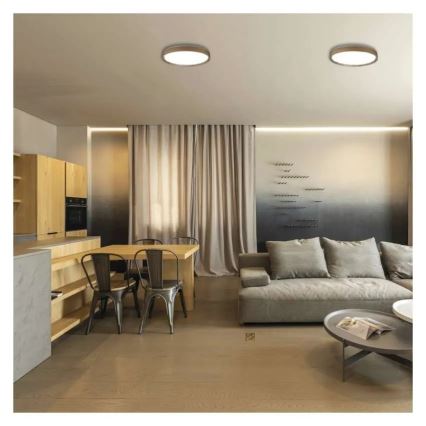 LED Stmívatelné stropní svítidlo ILVI LED/30W/230V 2700-6500K pr. 40 cm béžová + dálkové ovládání