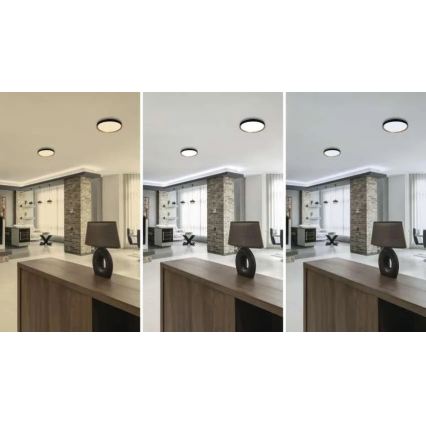 LED Stmívatelné stropní svítidlo ILVI LED/30W/230V 2700-6500K pr. 40 cm černá/béžová + dálkové ovládání