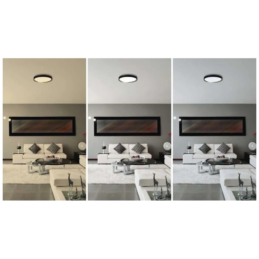 LED Stmívatelné stropní svítidlo ILVI LED/30W/230V 2700-6500K pr. 40 cm černá/mosaz + dálkové ovládání