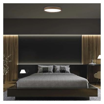 LED Stmívatelné stropní svítidlo ILVI LED/45W/230V 2700-6500K pr. 50 cm béžová + dálkové ovládání