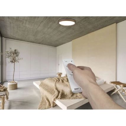 LED Stmívatelné stropní svítidlo ILVI LED/45W/230V 2700-6500K pr. 50 cm béžová + dálkové ovládání