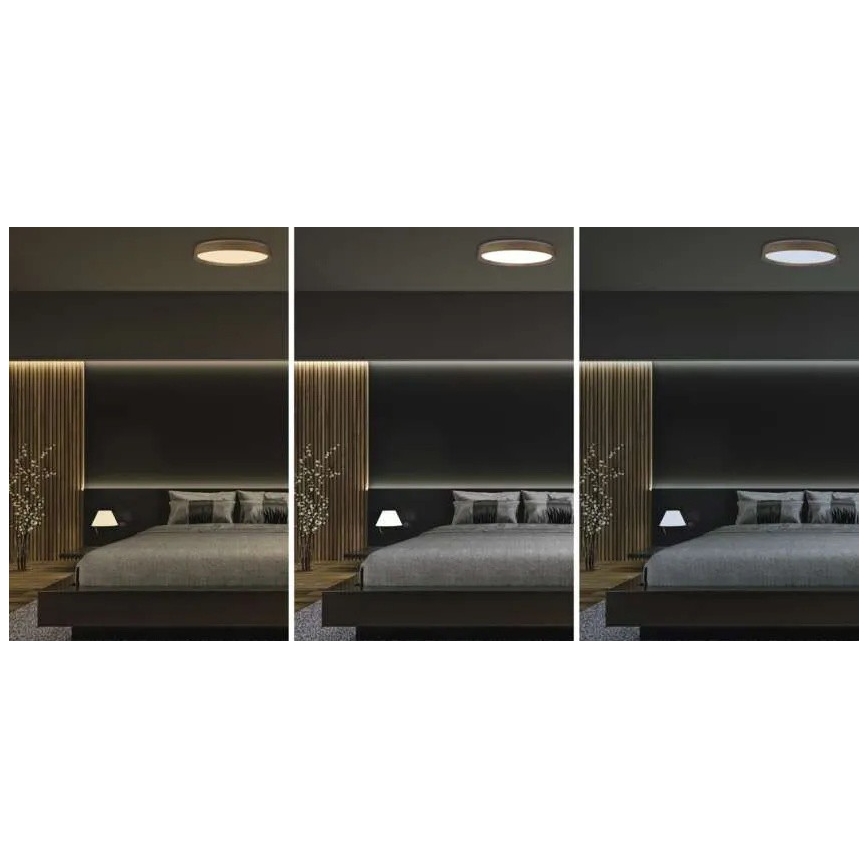 LED Stmívatelné stropní svítidlo ILVI LED/45W/230V 2700-6500K pr. 50 cm béžová + dálkové ovládání